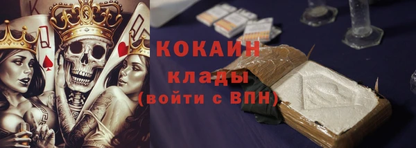 спайс Арсеньев