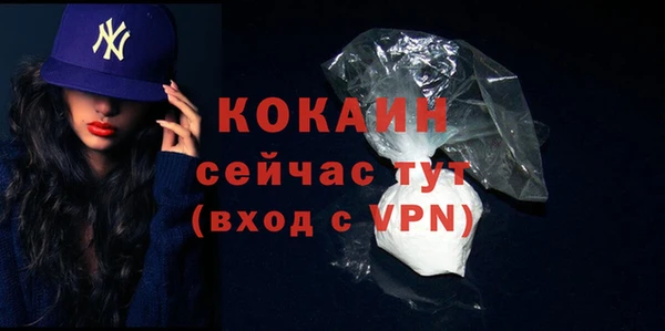 спайс Арсеньев