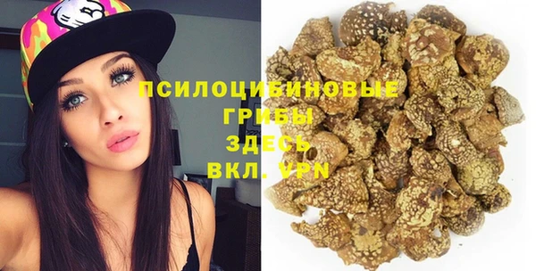 спайс Арсеньев