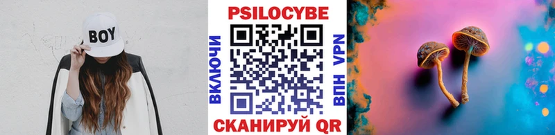 где продают   mega ТОР  Псилоцибиновые грибы Cubensis  Новое Девяткино 